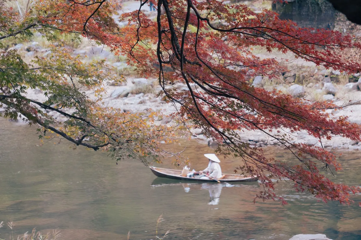Seasonal Guide to Paddling the River Wye: Spring, Summer, Autumn and Winter Conditions